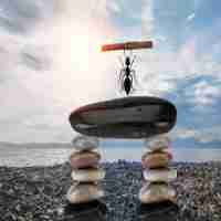 dns优​化​是‍什﻿么‌意‍思‍